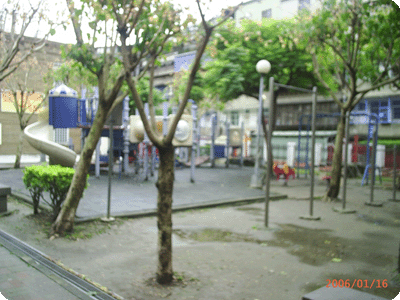 周遭樹木